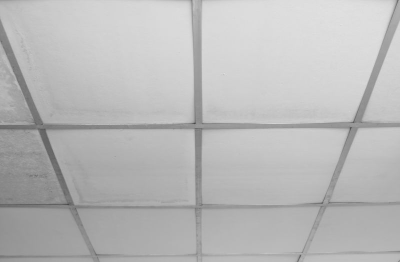 Grid Ceiling Repair